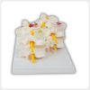 Lumbar Vertebrae Degeneration Model Side View Removable pathological lumbar vertebrae model side view