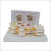 Lumbar Vertebrae Degeneration Teaching Model with Chart Pathological lumbar spine teaching model with English chart