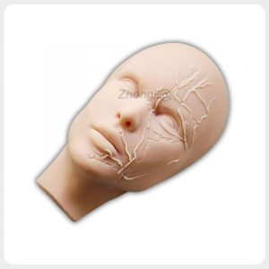 Silicone facial injection training model with visible vascular anatomy