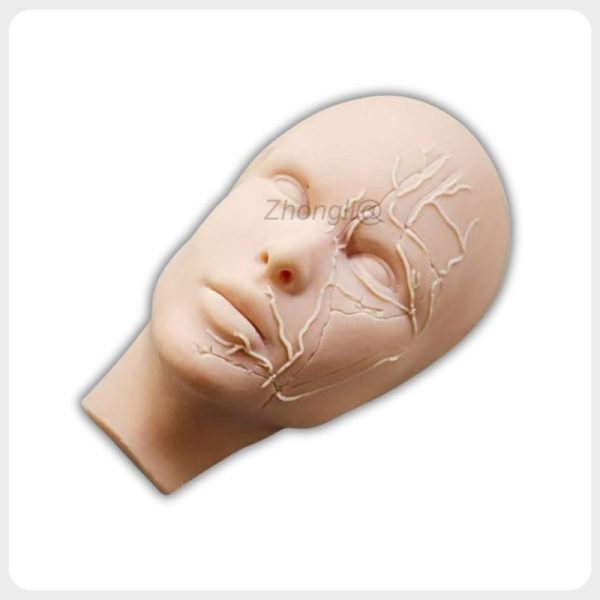Silicone Facial Injection Training Model with Vascular Anatomy Silicone facial injection training model with visible vascular anatomy