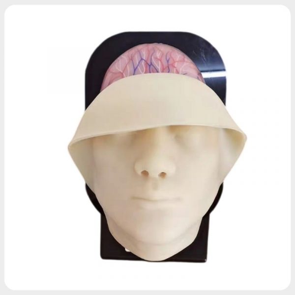 Removable Silicone Skin Facial Injection Training Model Removable silicone skin on facial injection anatomy training model