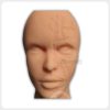 Facial Vascular Injection Training Model Front View Front view facial injection training model with artery and vein markings