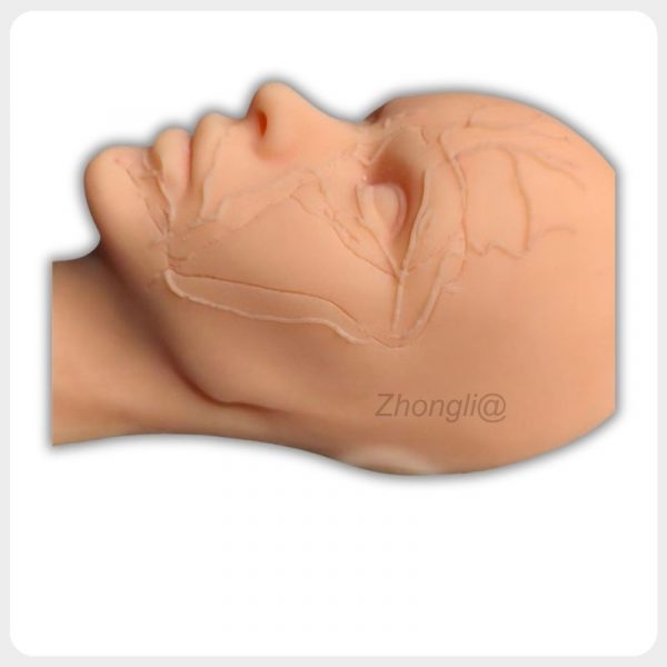 Side View Silicone Facial Vascular Training Model Side view silicone facial injection model with vascular structure