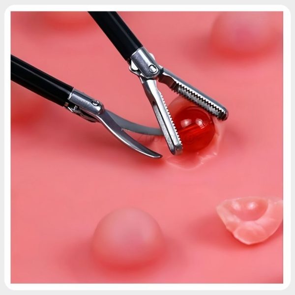 ZL-NS-LAP-001 Laparoscopic Dissection Training Model Multi-target silicone laparoscopic dissection and cutting training model