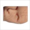 Periorbital Vascular Anatomy Injection Training Detail Close-up facial vascular anatomy around the eye for injection training
